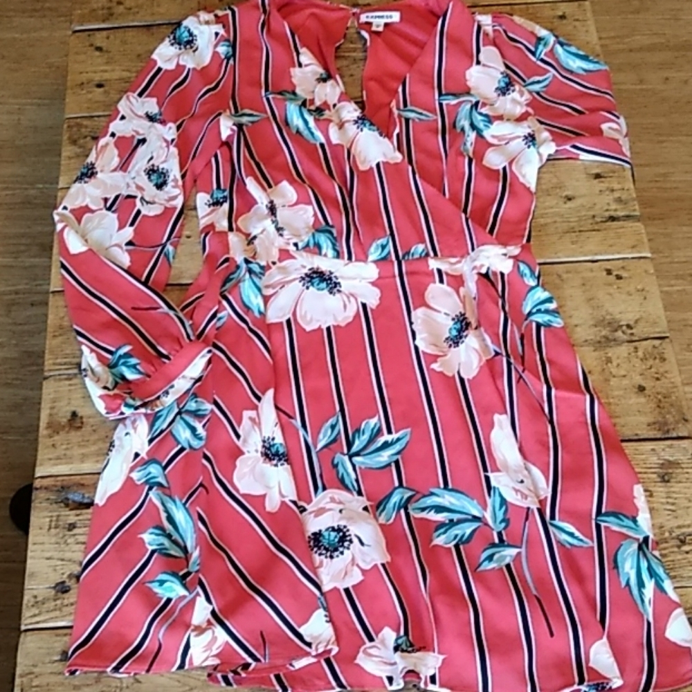 Red Floral Dress| Express